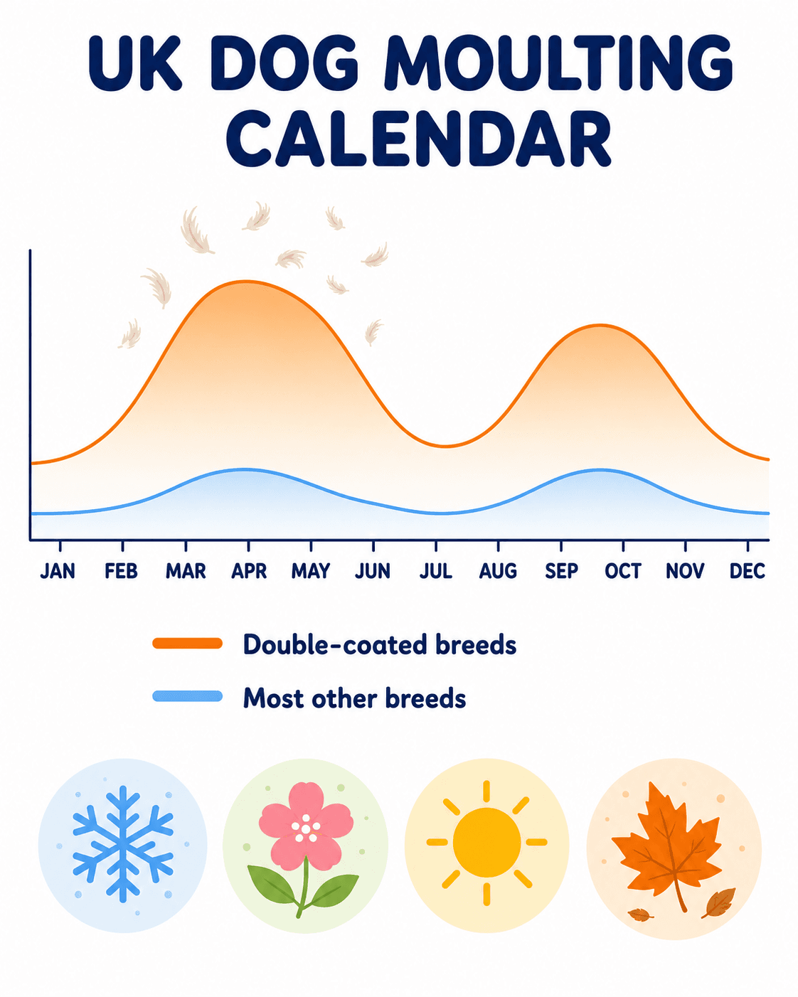 Calendar infographic showing UK dog moulting intensity by month, peaking March to June and again September to November
